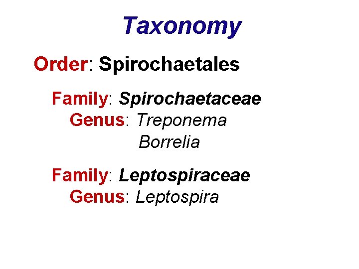 Taxonomy Order: Spirochaetales Family: Spirochaetaceae Genus: Treponema Borrelia Family: Leptospiraceae Genus: Leptospira 