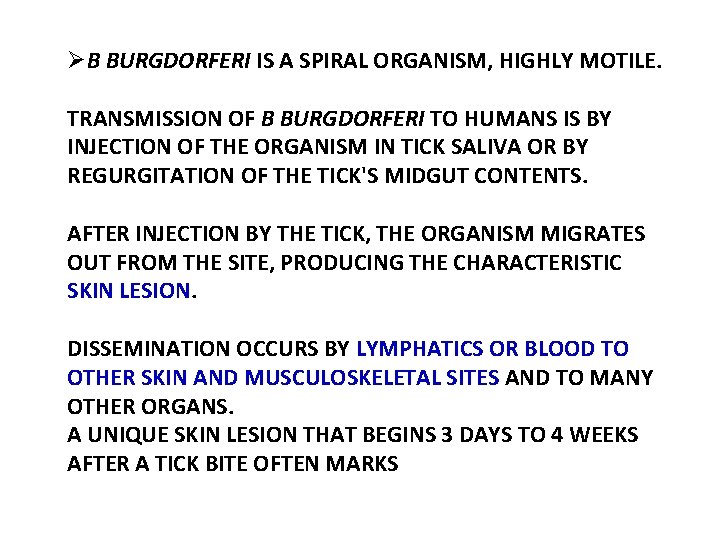 ØB BURGDORFERI IS A SPIRAL ORGANISM, HIGHLY MOTILE. TRANSMISSION OF B BURGDORFERI TO HUMANS