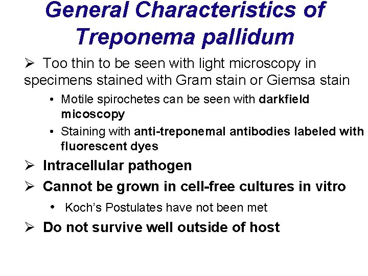 General Characteristics of Treponema pallidum Ø Too thin to be seen with light microscopy