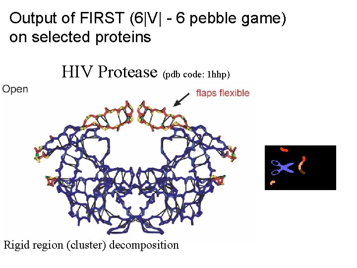 Output of FIRST (6|V| - 6 pebble game) on selected proteins HIV Protease (pdb