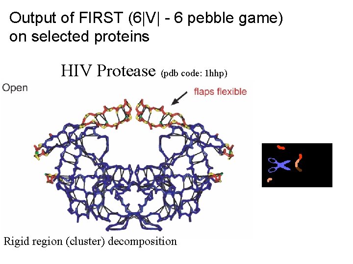 Output of FIRST (6|V| - 6 pebble game) on selected proteins HIV Protease (pdb Output of FIRST (6|V| - 6 pebble game) on selected proteins HIV Protease (pdb