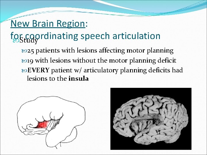 New Brain Region: for coordinating speech articulation Study 25 patients with lesions affecting motor