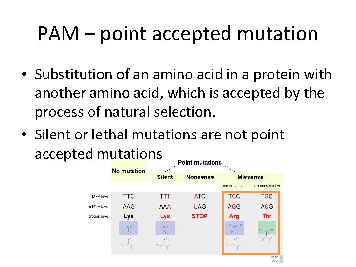 PAM – point accepted mutation • Substitution of an amino acid in a protein