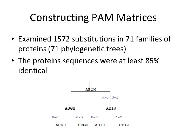 Constructing PAM Matrices • Examined 1572 substitutions in 71 families of proteins (71 phylogenetic