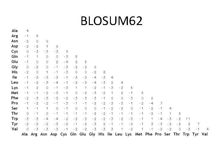 BLOSUM 62 