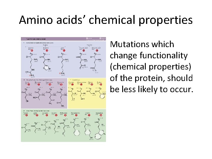 Amino acids’ chemical properties Mutations which change functionality (chemical properties) of the protein, should