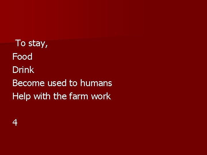 To stay, Food Drink Become used to humans Help with the farm work 4