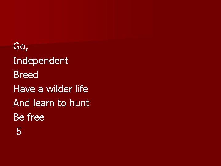 Go, Independent Breed Have a wilder life And learn to hunt Be free 5