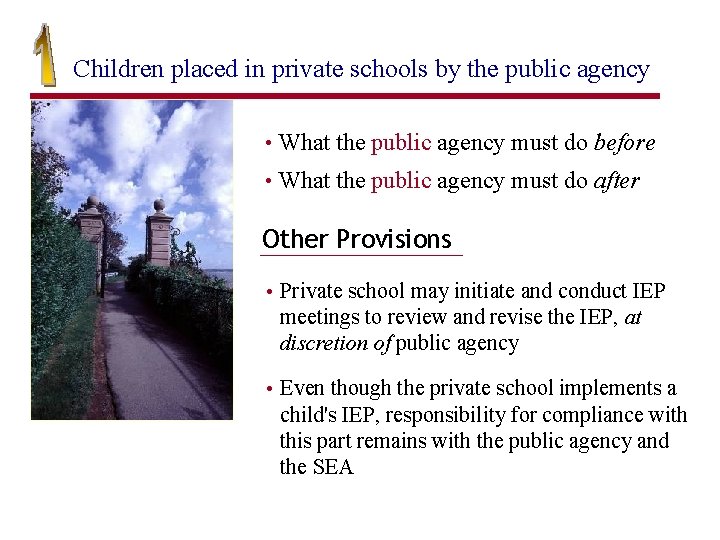 Children placed in private schools by the public agency • What the public agency