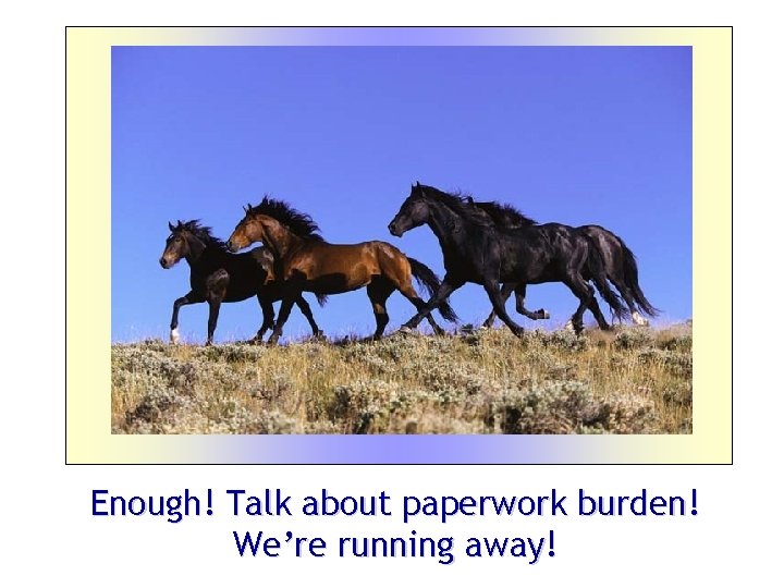 Enough! Talk about paperwork burden! We’re running away! 