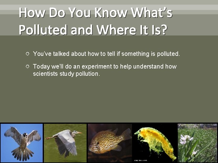 How Do You Know What’s Polluted and Where It Is? You’ve talked about how