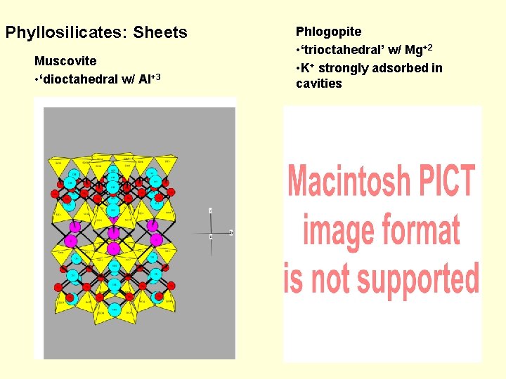 Phyllosilicates: Sheets Muscovite • ‘dioctahedral w/ Al+3 Phlogopite • ‘trioctahedral’ w/ Mg+2 • K+
