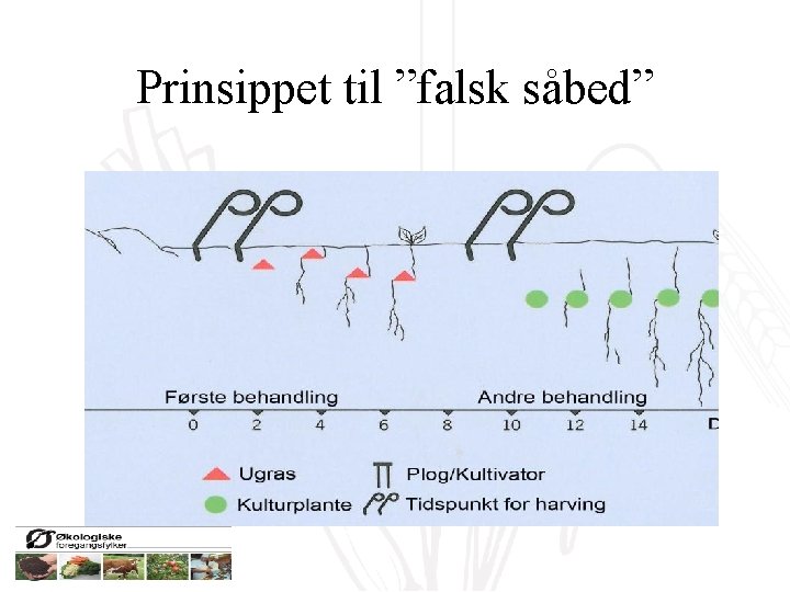 Prinsippet til ”falsk såbed” 