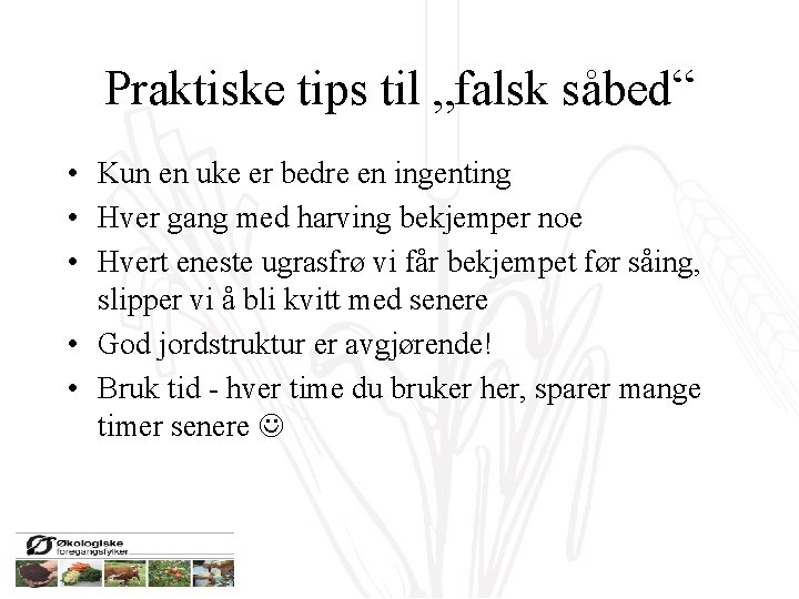 Praktiske tips til „falsk såbed“ • Kun en uke er bedre en ingenting •