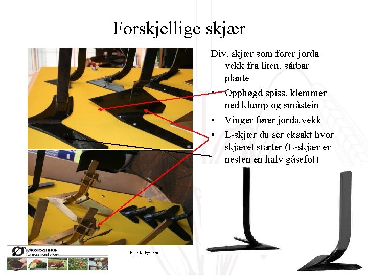 Forskjellige skjær Div. skjær som fører jorda vekk fra liten, sårbar plante • Opphøgd