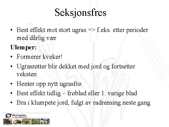 Seksjonsfres • Best effekt mot stort ugras => f. eks. etter perioder med dårlig