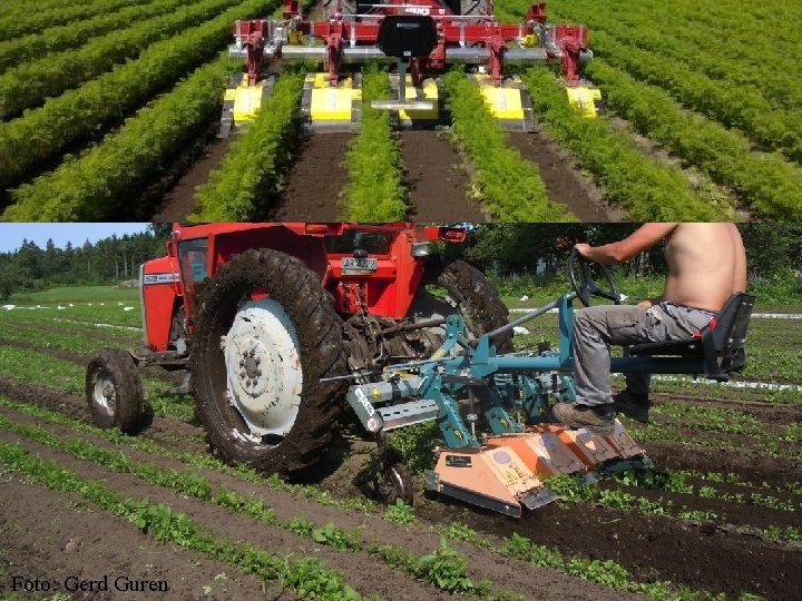 Badalini Foto: Gerd Guren 