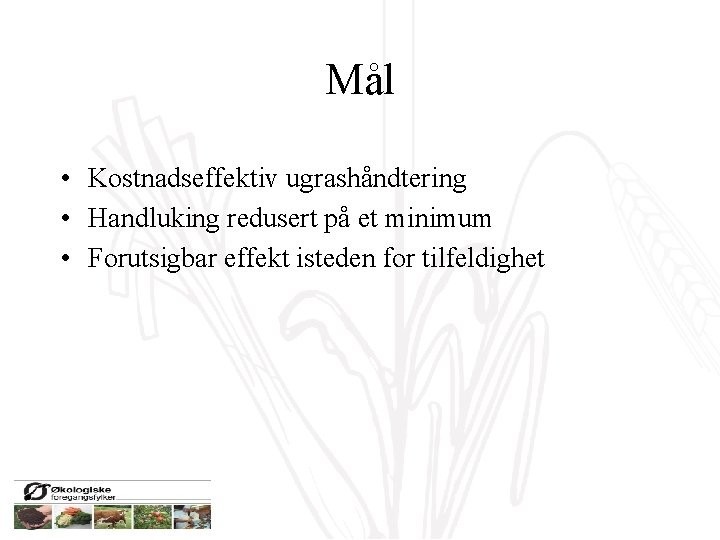 Mål • Kostnadseffektiv ugrashåndtering • Handluking redusert på et minimum • Forutsigbar effekt isteden