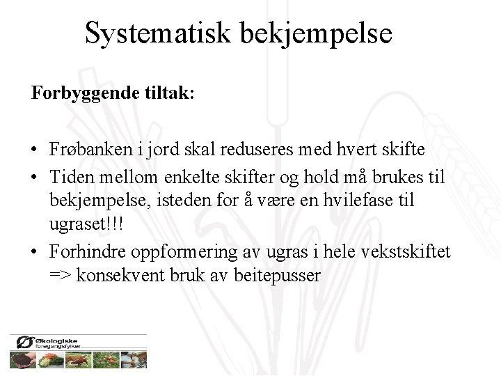 Systematisk bekjempelse Forbyggende tiltak: • Frøbanken i jord skal reduseres med hvert skifte •