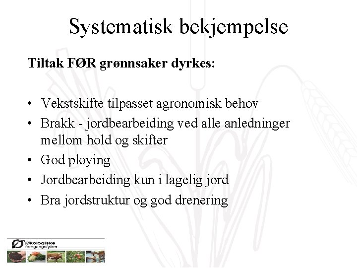 Systematisk bekjempelse Tiltak FØR grønnsaker dyrkes: • Vekstskifte tilpasset agronomisk behov • Brakk -