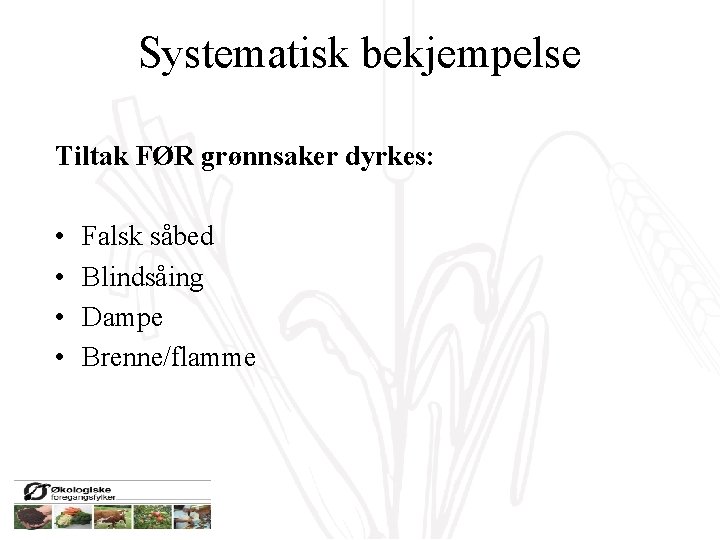 Systematisk bekjempelse Tiltak FØR grønnsaker dyrkes: • • Falsk såbed Blindsåing Dampe Brenne/flamme 