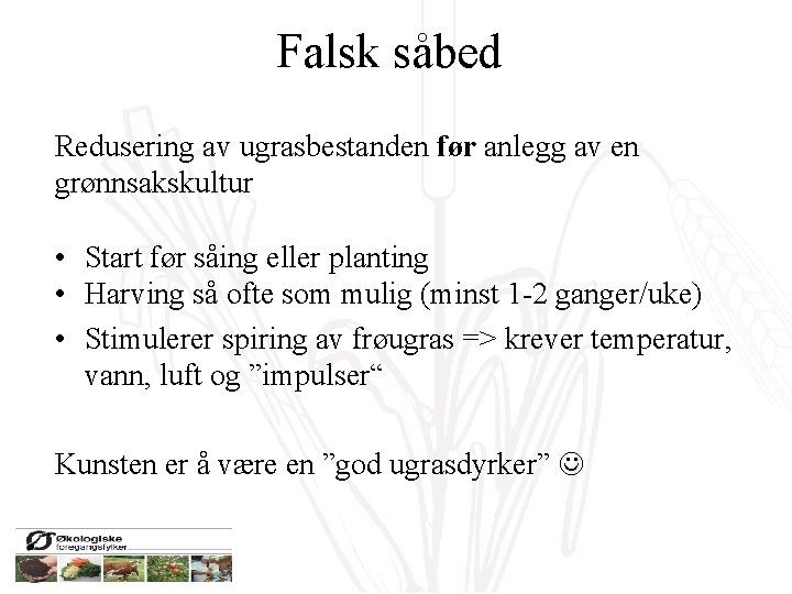 Falsk såbed Redusering av ugrasbestanden før anlegg av en grønnsakskultur • Start før såing