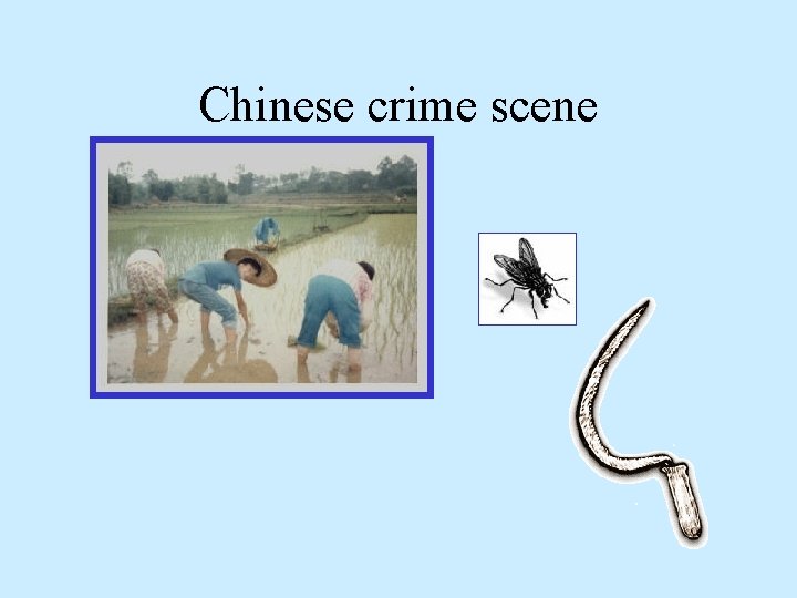 Chinese crime scene 