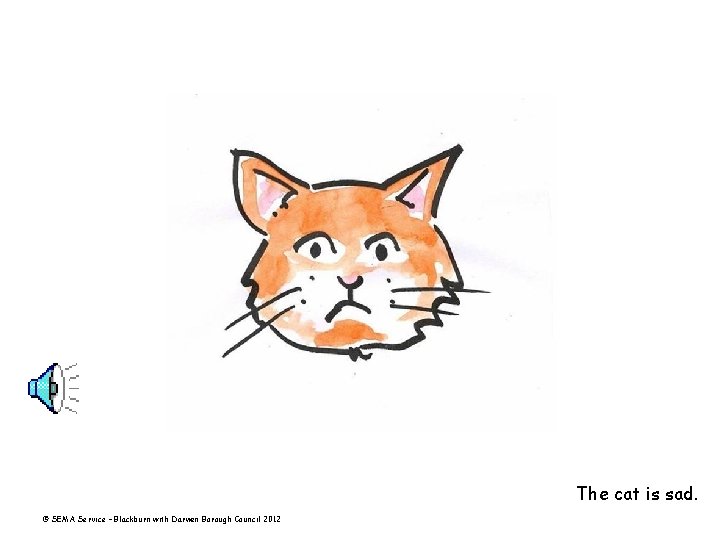 The cat is sad. © SEMA Service – Blackburn with Darwen Borough Council 2012
