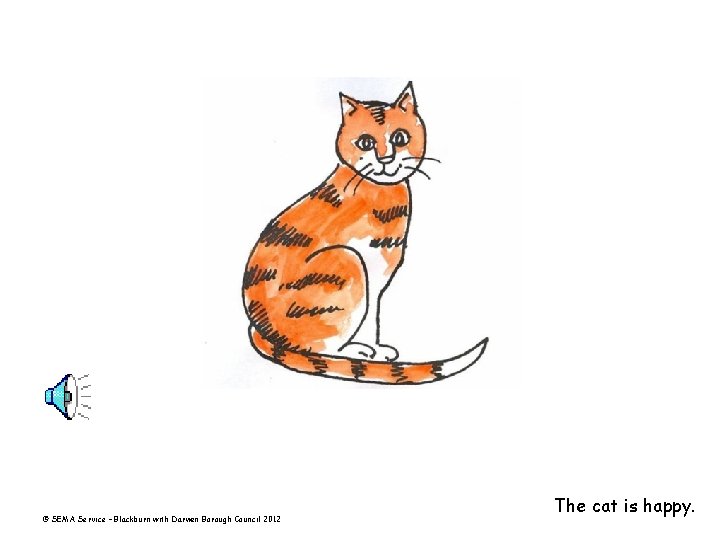 © SEMA Service – Blackburn with Darwen Borough Council 2012 The cat is happy.
