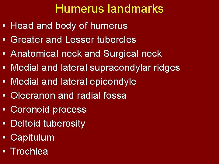 Humerus landmarks • • • Head and body of humerus Greater and Lesser tubercles