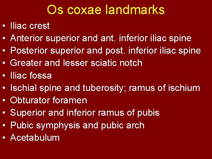 Os coxae landmarks • • • Iliac crest Anterior superior and ant. inferior iliac
