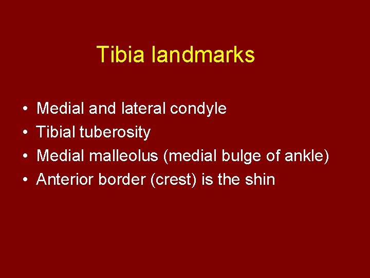 Tibia landmarks • • Medial and lateral condyle Tibial tuberosity Medial malleolus (medial bulge