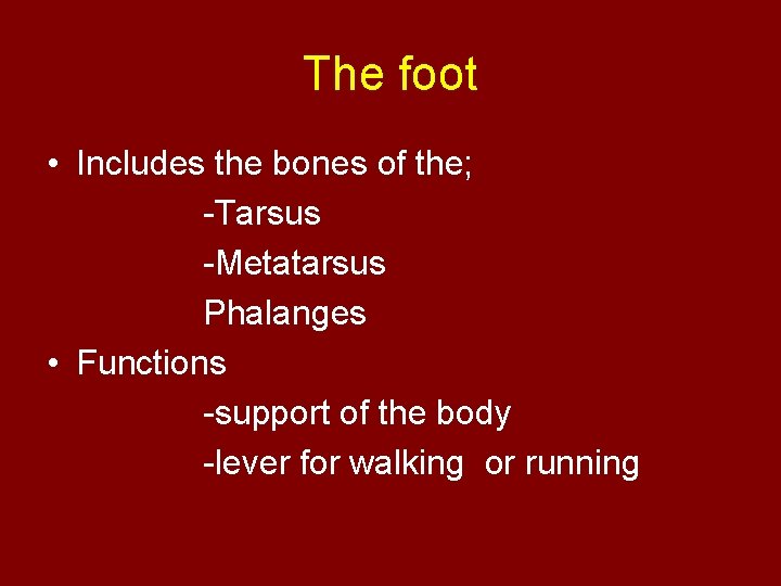 The foot • Includes the bones of the; -Tarsus -Metatarsus Phalanges • Functions -support