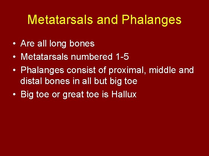 Metatarsals and Phalanges • Are all long bones • Metatarsals numbered 1 -5 •