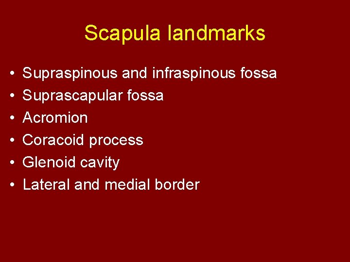 Scapula landmarks • • • Supraspinous and infraspinous fossa Suprascapular fossa Acromion Coracoid process
