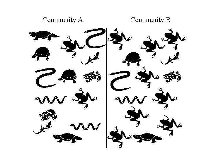 Community A Community B 