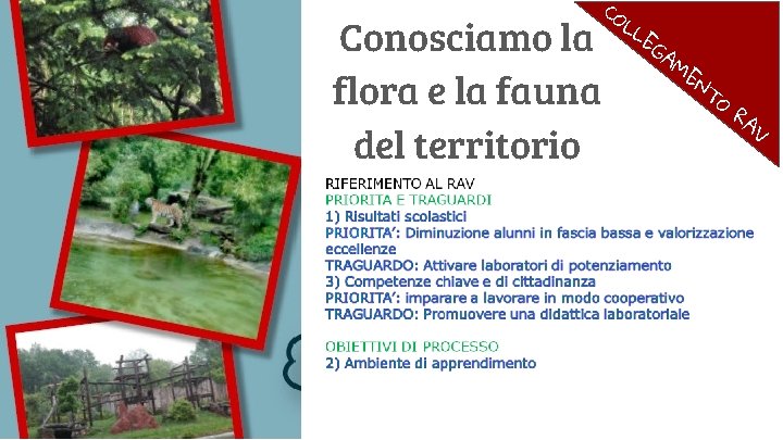 Conosciamo la flora e la fauna del territorio CO LL EG AM EN T