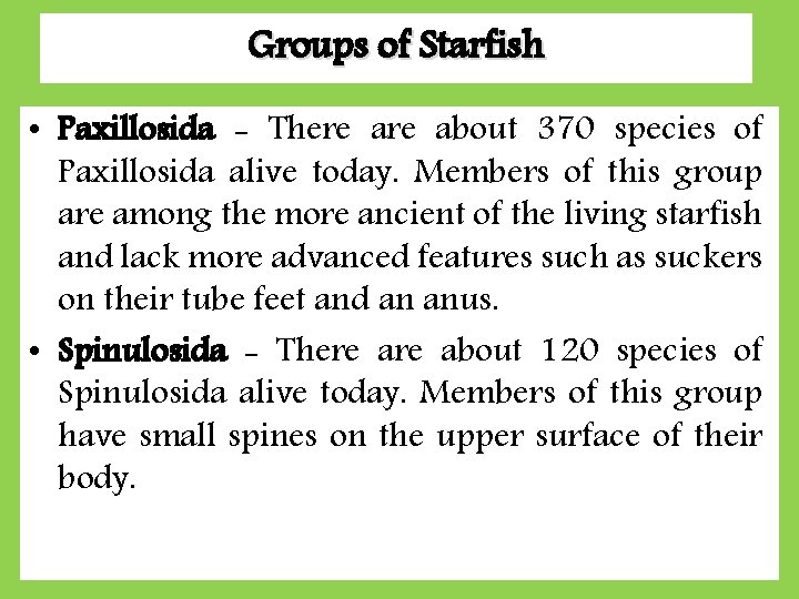 Groups of Starfish • Paxillosida - There about 370 species of Paxillosida alive today.