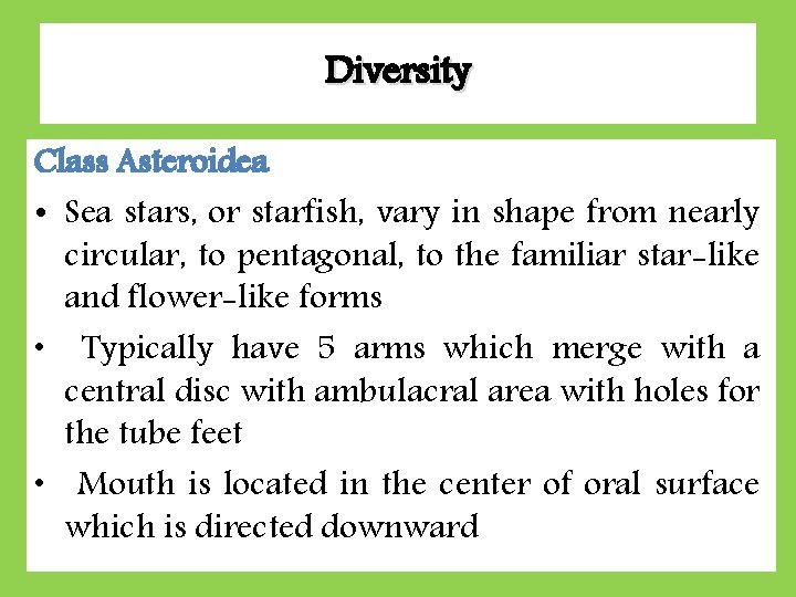 Diversity Class Asteroidea • Sea stars, or starfish, vary in shape from nearly circular,