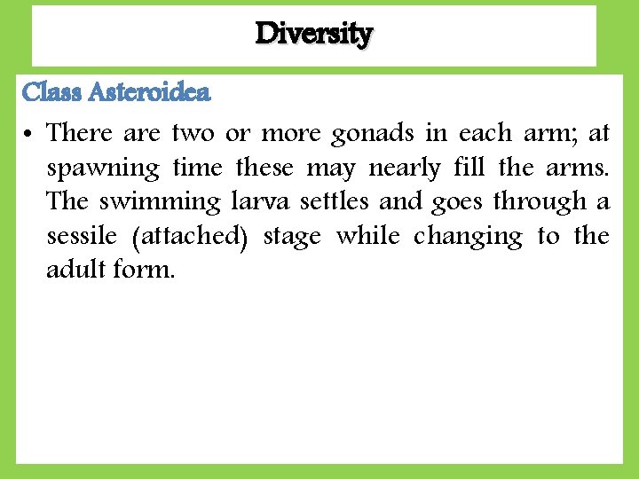 Diversity Class Asteroidea • There are two or more gonads in each arm; at