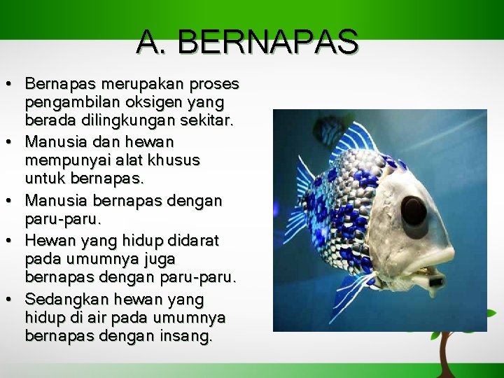 A. BERNAPAS • Bernapas merupakan proses pengambilan oksigen yang berada dilingkungan sekitar. • Manusia