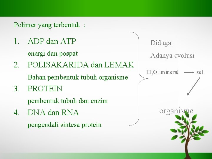 Polimer yang terbentuk : 1. ADP dan ATP energi dan pospat 2. POLISAKARIDA dan
