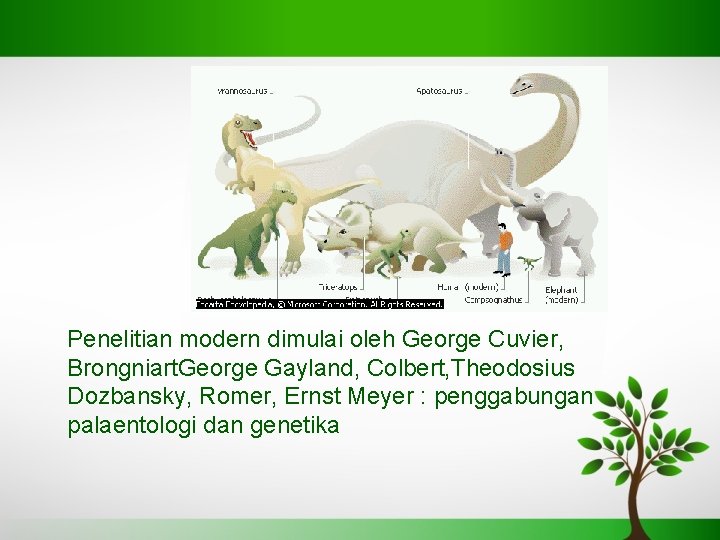 Penelitian modern dimulai oleh George Cuvier, Brongniart. George Gayland, Colbert, Theodosius Dozbansky, Romer, Ernst