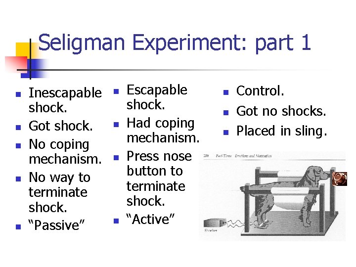 Seligman Experiment: part 1 n n n Inescapable shock. Got shock. No coping mechanism.