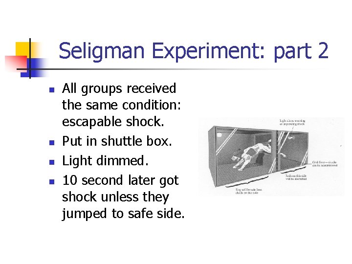 Seligman Experiment: part 2 n n All groups received the same condition: escapable shock.