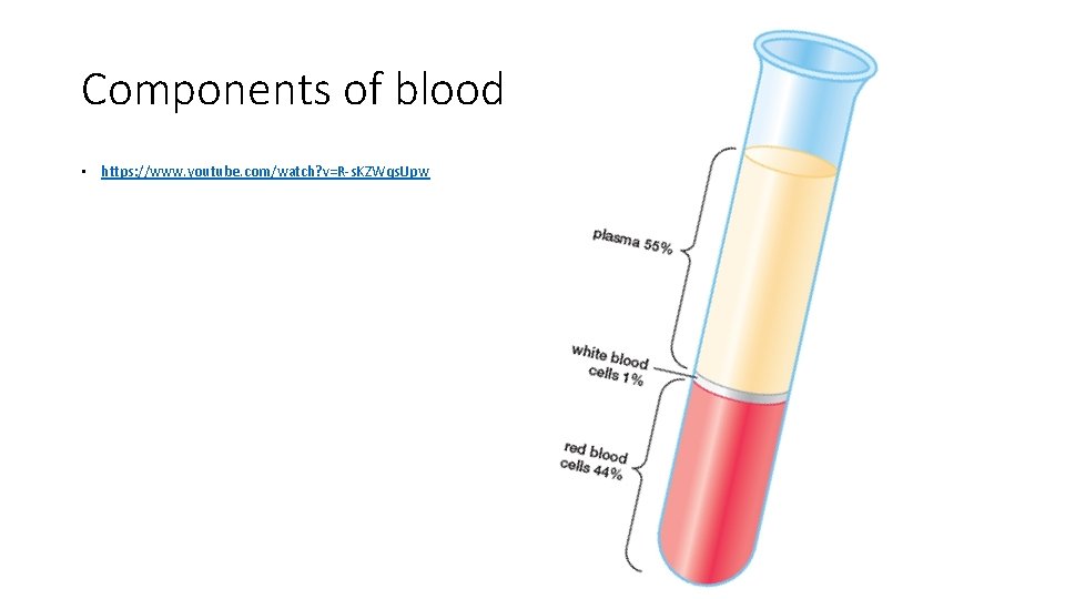 Components of blood • https: //www. youtube. com/watch? v=R-s. KZWqs. Upw 