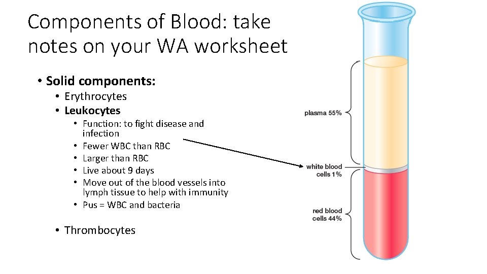 Components of Blood: take notes on your WA worksheet • Solid components: • Erythrocytes