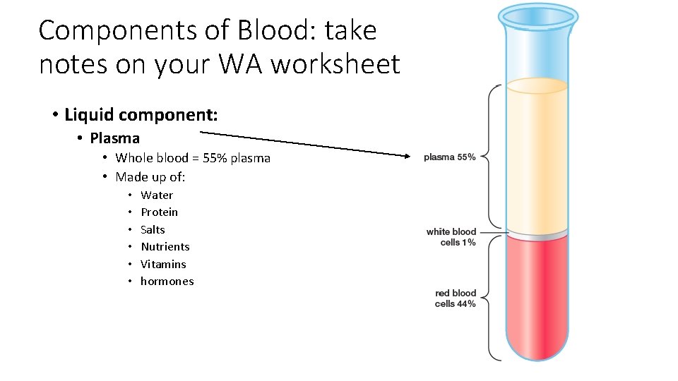 Components of Blood: take notes on your WA worksheet • Liquid component: • Plasma
