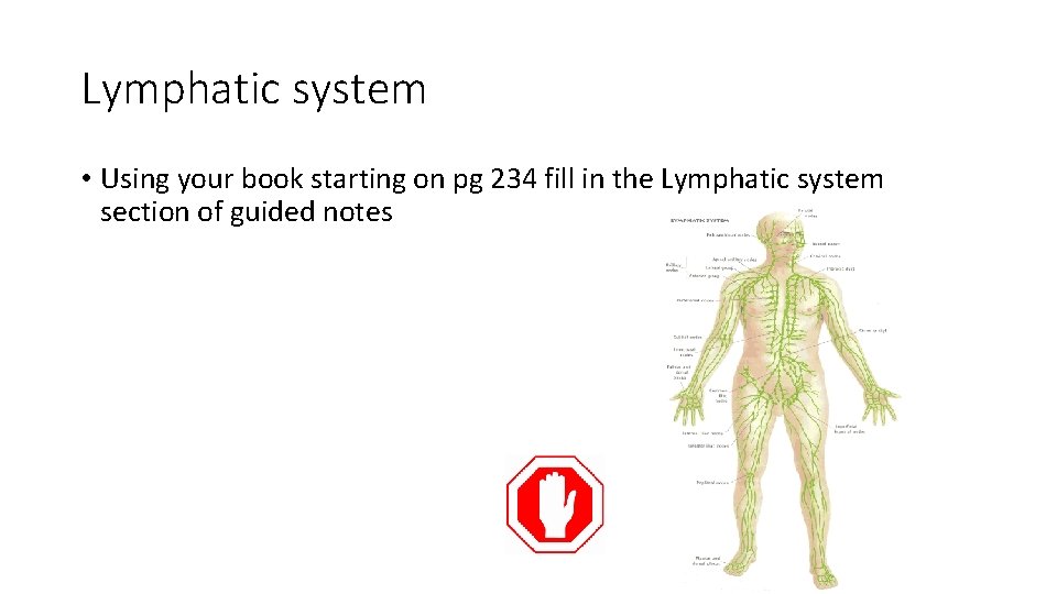 Lymphatic system • Using your book starting on pg 234 fill in the Lymphatic