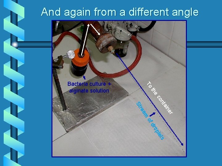 And again from a different angle To e th Bacteria culture + alginate solution